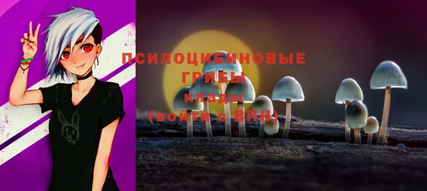 твердый Белокуриха
