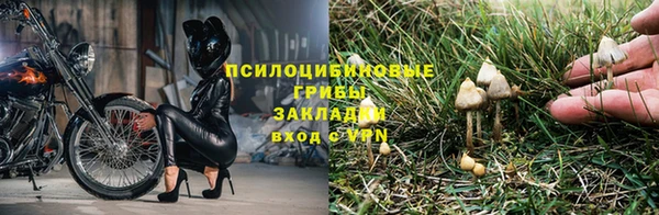 твердый Белокуриха