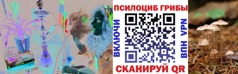 Купить закладки  Мураши  Галлюциногенные грибы Psilocybine cubensis 